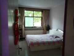 恒山西路最新爆料,揭秘神秘项目进展与周边影响